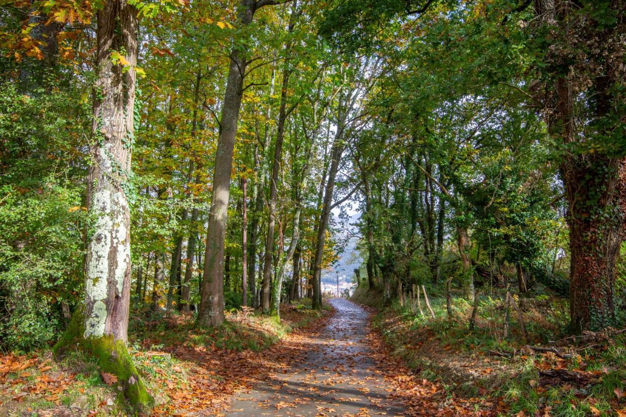Casa Rural Korteta Tolosa  Eksteriør bilde